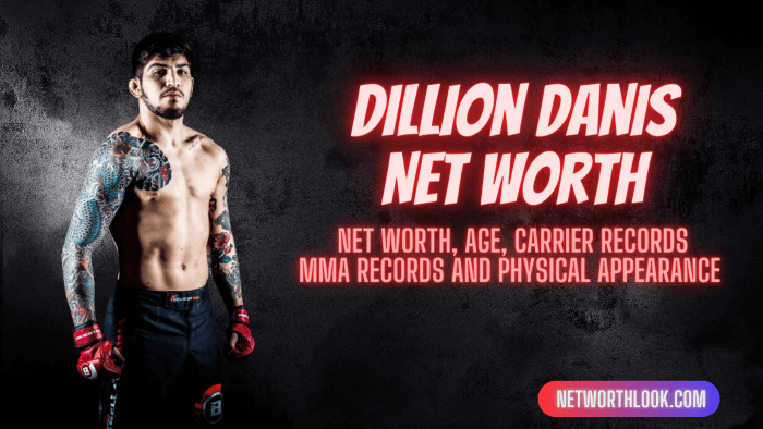 dillion Danis Net worth